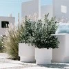 Bikuva.lt Vazonas HEOS su įdėklu D468xH440 mm balta sp. Prosperplast
