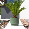 Prosperplast Plastikinis vazonas MILLY, su įdėklu, žalios sp,. 30 x 29 cm