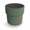 Milly Blumentopf – grüne Kiefer Prosperplast DBMIR400-2411U grüne Kiefer