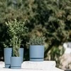 Prosperplast Dekoratyvinis gėlių vazonas Tubo P Ø17.8cm H17.5cm plastikinis/š.pilkas