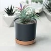 Prosperplast donicžė cilindrinė antracit 18 cm