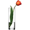 Vaza stiklinė skaidri D8xH26,5 cm FLORA Pasabahce 74759