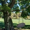 Sūpynės gandro lizdas 100 cm D029-06TB PATIO