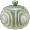 Moss AMBITION cukrinė su dangteliu