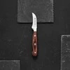 Dajar AMBITION virtuvinis peilis skustuvas Titanium 5 cm 20347