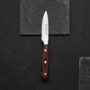 Virtuvinio peilio skustuvas Titanium 9 cm AMBITION