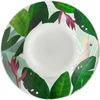 Paradise Jungle Cup lėkštė 11 cm AMBITION