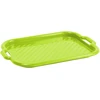 Padėklas plastikinis 46x33x3 cm žalios spalvos Domotti 229020