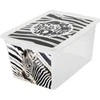 Branq Laikymo dėžė X box Deco Zebra 30L Skaidri