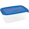 Maisto laikymo dėžutė CURVER FRESH&amp;GO, mėlynu dangteliu, h10 x 26 x 17 cm, 3 L