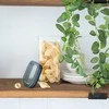 Birių produktų indas Curver Dry Cube 1.8l