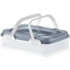Dolce maisto indas 39 x 28,5 cm rutulys DOMOTTI