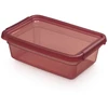 Orplast Basestore container with lid and clips, 19x28x9 cm 3 L rhubarb