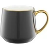 Porcelianinis puodelis Royal Ambition 460 ml grafito spalvos
