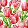 Tulip Popierinės servetėlės, 190 vnt., 33 x 33 cm, 20 vnt. PAW