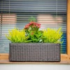 Stačiakampis sodo vazonas 48 x 18 x 18 cm wenge PATIO