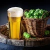 Casablanca Beer Glass 475ml PASABAHCE