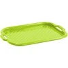 Padėklas plastikinis 46x33x3 cm žalios spalvos Domotti 229020