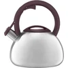 Virdulys Master Stone 2,9 l AMBITION