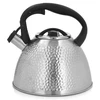Virdulys su švilpuku Bubble 2,6 l plieno AMBITION