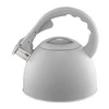 Florina Virdulys su gwizdkiem Gris 2,5 l pilka AMBITION