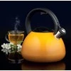 Ambition ARBATINUKAS OMBRE 2.6L GELT 50873