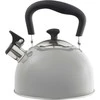 Domotti ARBATINUKAS SAMBA 2.2L PILK 50888