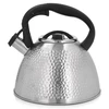 Virdulys su švilpuku Bubble 2,6 l plieno AMBITION