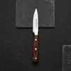 Virtuvinio peilio skustuvas Titanium 9 cm AMBITION