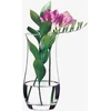Botanica vaza 21 cm PASABAHCE