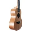 Arrow MH10 Okume Concert w/bag - Ukulele