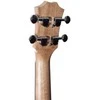 Arrow MH10 Sapele Concert w/bag - Ukulele
