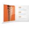 Stygos akustinei gitarai D'Addario XSAPB1047 Phosphor bronze