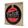 Stygos klasikinei gitarai D'Addario Pro-Arté EJ45 .028