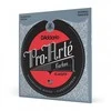 Stygos klasikinei gitarai D'Addario Pro-Arté Carbon EJ45FF .024