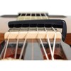 Daddario PW-CP-19 - Kapodaster universalus