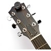 Daddario PW-CT-12 - Imtuvas do gitary