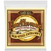Stygos ak. gitarai Ernie Ball P02047 Earthwood Extra Light Bronze