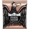 Stygos ak. gitarai Ernie Ball Paradigm 2080 Phosphor Bronze 0.10