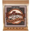 Stygos ak. gitarai Ernie Ball Earthwood vidutinio lengvumo 12 - 54 P02146