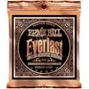 Stygos ak. gitarai Ernie Ball P02546