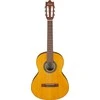 Ibanez GA2-OAM atvirų porų poliuretanas – 3/4 klasikinė gitara
