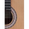 Prodipe Guitars Primera 3/4 - klasikinė gitara