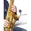 Prodipe SB21 - instrumentinis mikrofonas