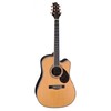 Samick Guitars Samick D-8CE N - elektroakustinė gitara