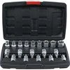 Bgs Technic Antgalių / galvučių rinkinys | 12,5 mm (1/2") | T-Star (Torx ) / E-Type | 19 vnt. (95100)