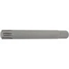 Bgs Technic Antgalis | ilgis 100 mm | 10 mm (3/8") | Spline (RIBE) M12 (4778)