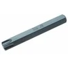 Bgs Technic Antgalis | ilgis 75 mm | 10 mm (3/8") storis | T-Star (Torx) T55 (4575)