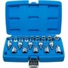 Bgs Technic Antgalių ir galvučių rinkinys | 12,5 mm (1/2") | E-Star / T-Star (Torx) | 19 vnt. (5100)