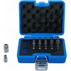 Bgs Technic Antgalių rinkinys | TS-Star (Torx Plus) | 23 vnt. (5056)
